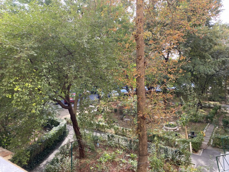 2 camere nemodernizat, etaj1, Severinului - Gradina Botanica, teava gaze la usa, toate actele in regula