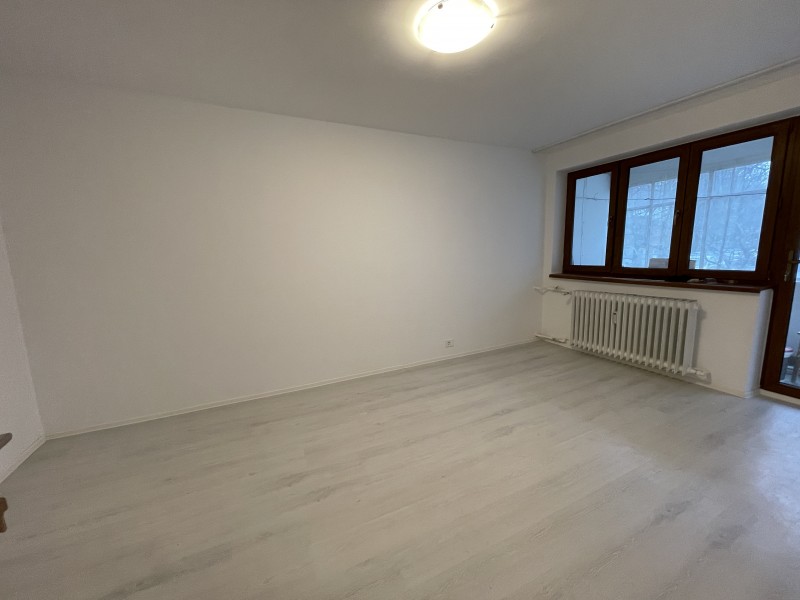 2 decomandate Brazda lui Novac,parter, nemobilat dar utilat complet, totul nou, nelocuit