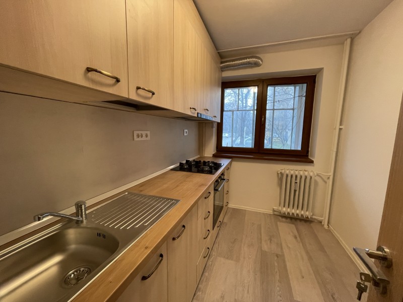 2 decomandate Brazda lui Novac,parter, nemobilat dar utilat complet, totul nou, nelocuit