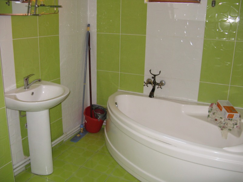 Inchiriere apartament 3 camere decomandat, mobilat, etaj 1/4, suprafata 110 mp, Calea Severinului, zona Gradina Botanica